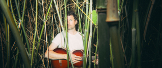 Eine Person steht mit einer Gitarre inmitten dichter, hoher Pflanzenstängel, trägt ein weißes T-Shirt.